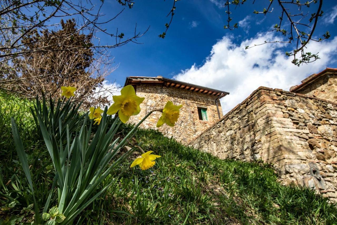 Tavarnelle Val di Pesa Campora House酒店 外观 照片