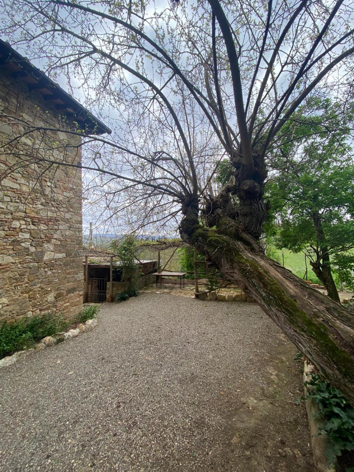 Tavarnelle Val di Pesa Campora House酒店 外观 照片
